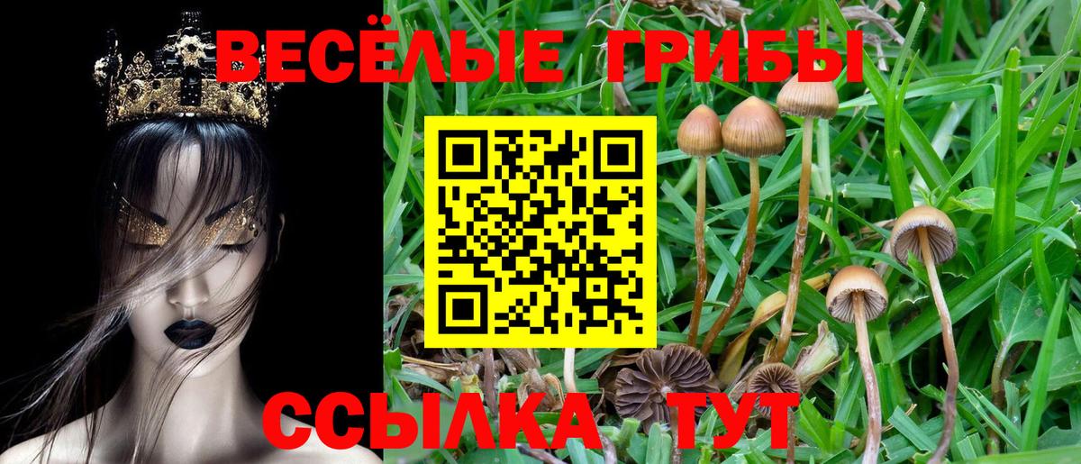 Семилуки  Галлюциногенные грибы Cubensis  Вход с VPN 